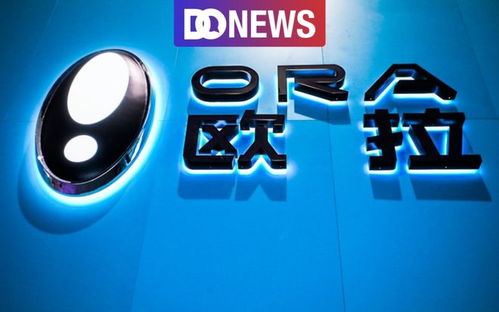 欧拉汽车 她消费崛起下的逆袭之路与“变现猫联盟”启示